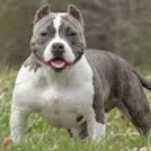 Meet your Posher, Kameron